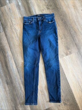 Womens Hudson Jeans